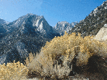 Mount.gif (16892 bytes)